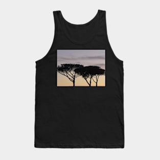 Maritime Pines at Dawn Tank Top